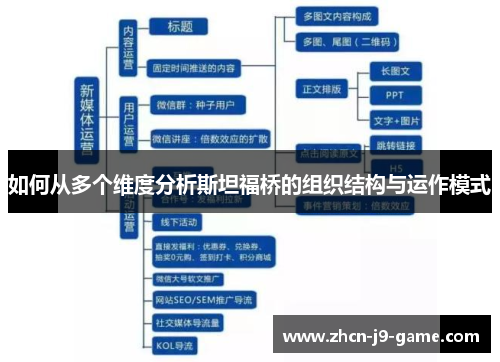 如何从多个维度分析斯坦福桥的组织结构与运作模式
