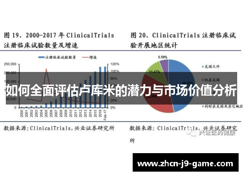 如何全面评估卢库米的潜力与市场价值分析