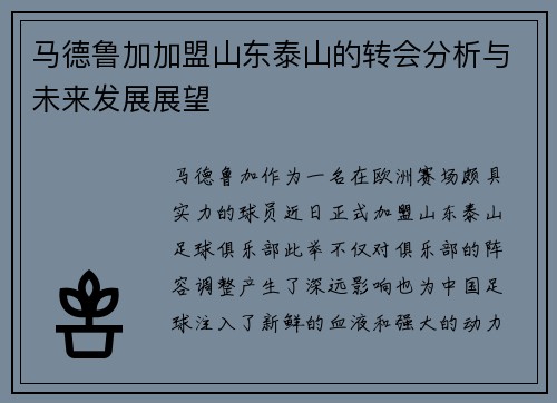 马德鲁加加盟山东泰山的转会分析与未来发展展望